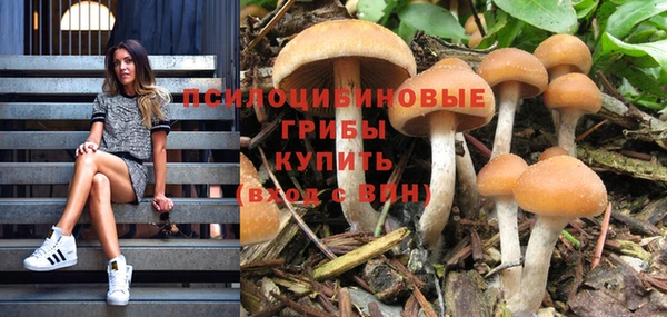 стаф Заволжск