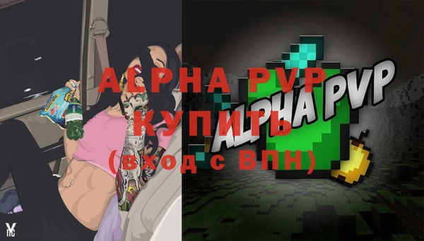 твердый Заводоуковск