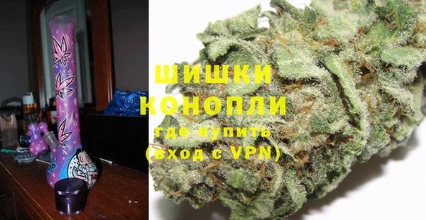 твердый Заводоуковск