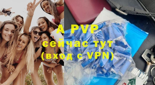 стаф Заволжск