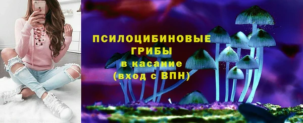 твердый Заводоуковск