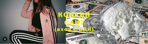 твердый Заводоуковск