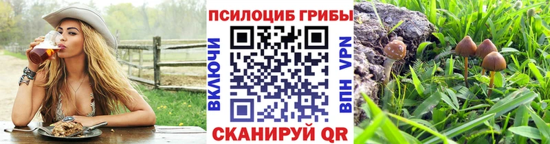 Галлюциногенные грибы прущие грибы  кракен ССЫЛКА  Каменногорск 